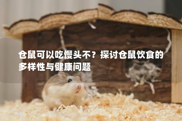 仓鼠可以吃馒头不？探讨仓鼠饮食的多样性与健康问题