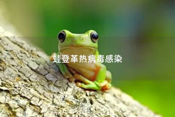蛙登革热病毒感染