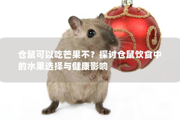仓鼠可以吃芒果不？探讨仓鼠饮食中的水果选择与健康影响