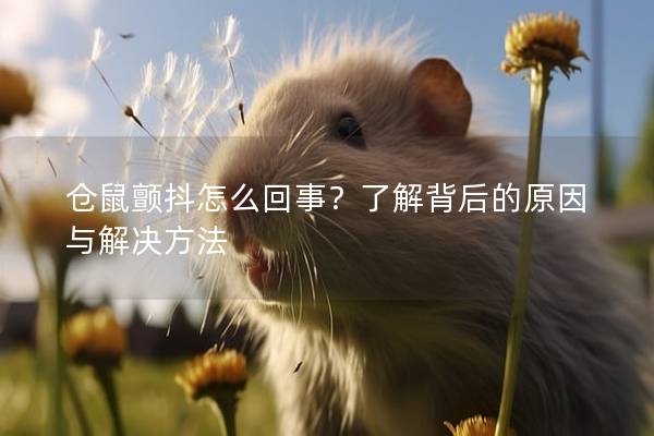 仓鼠颤抖怎么回事？了解背后的原因与解决方法
