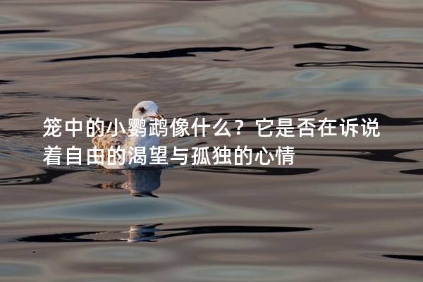 笼中的小鹦鹉像什么？它是否在诉说着自由的渴望与孤独的心情