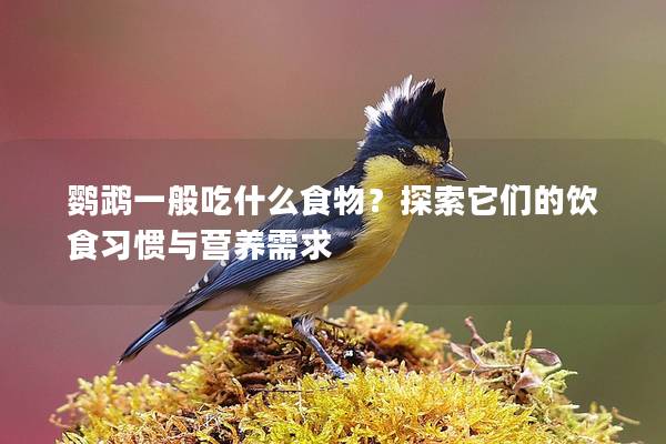 鹦鹉一般吃什么食物？探索它们的饮食习惯与营养需求