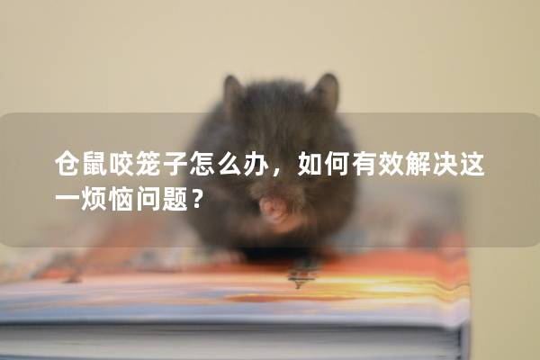 仓鼠咬笼子怎么办，如何有效解决这一烦恼问题？