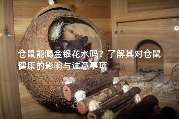 仓鼠能喝金银花水吗？了解其对仓鼠健康的影响与注意事项