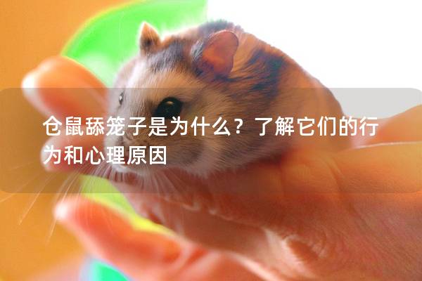 仓鼠舔笼子是为什么？了解它们的行为和心理原因