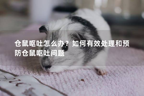 仓鼠呕吐怎么办？如何有效处理和预防仓鼠呕吐问题