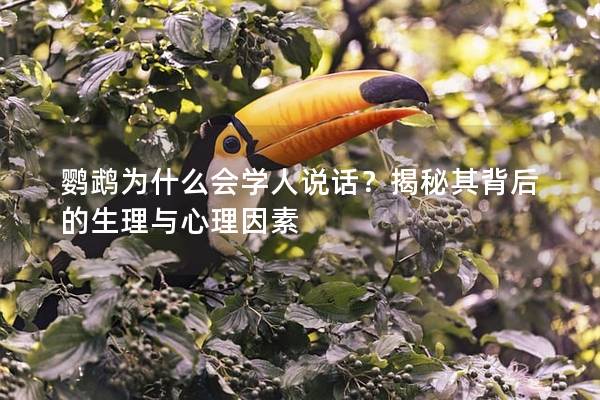鹦鹉为什么会学人说话？揭秘其背后的生理与心理因素