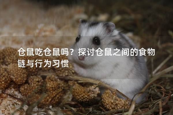 仓鼠吃仓鼠吗？探讨仓鼠之间的食物链与行为习惯