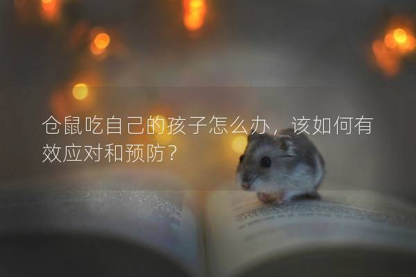 仓鼠吃自己的孩子怎么办，该如何有效应对和预防？
