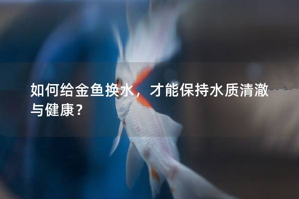如何给金鱼换水，才能保持水质清澈与健康？