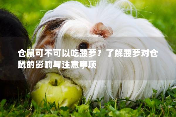 仓鼠可不可以吃菠萝？了解菠萝对仓鼠的影响与注意事项