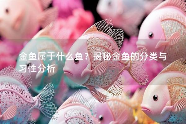 金鱼属于什么鱼？揭秘金鱼的分类与习性分析