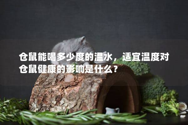 仓鼠能喝多少度的温水，适宜温度对仓鼠健康的影响是什么？