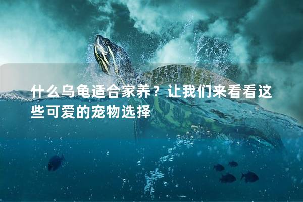 什么乌龟适合家养？让我们来看看这些可爱的宠物选择