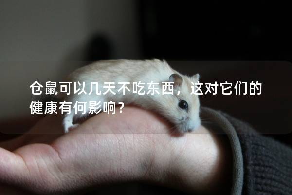 仓鼠可以几天不吃东西，这对它们的健康有何影响？