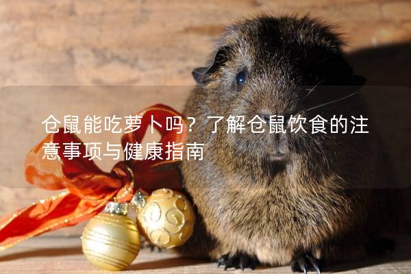 仓鼠能吃萝卜吗？了解仓鼠饮食的注意事项与健康指南