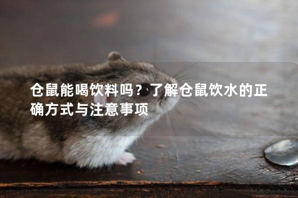 仓鼠能喝饮料吗？了解仓鼠饮水的正确方式与注意事项