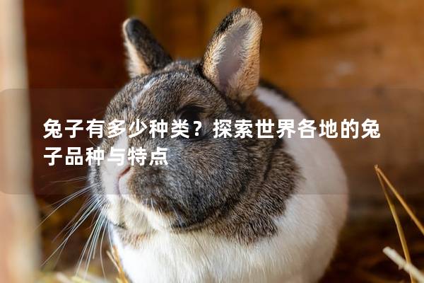 兔子有多少种类？探索世界各地的兔子品种与特点