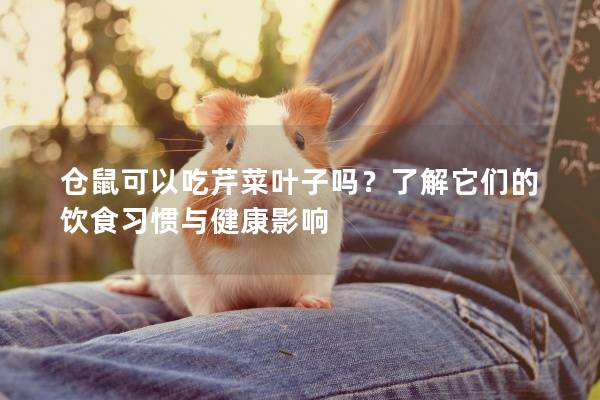 仓鼠可以吃芹菜叶子吗？了解它们的饮食习惯与健康影响