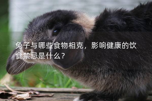 兔子与哪些食物相克，影响健康的饮食禁忌是什么？