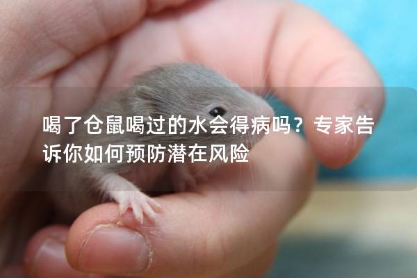 喝了仓鼠喝过的水会得病吗？专家告诉你如何预防潜在风险