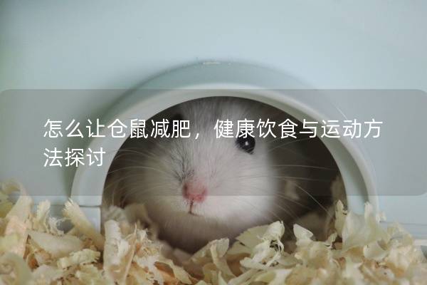 怎么让仓鼠减肥，健康饮食与运动方法探讨