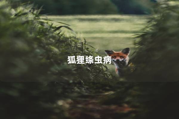 狐狸绦虫病