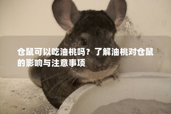仓鼠可以吃油桃吗？了解油桃对仓鼠的影响与注意事项