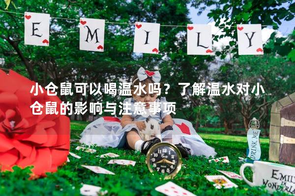 小仓鼠可以喝温水吗？了解温水对小仓鼠的影响与注意事项