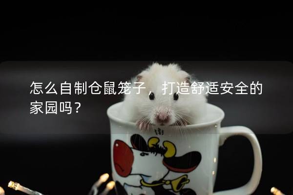 怎么自制仓鼠笼子，打造舒适安全的家园吗？
