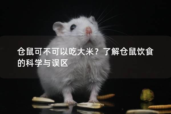 仓鼠可不可以吃大米？了解仓鼠饮食的科学与误区