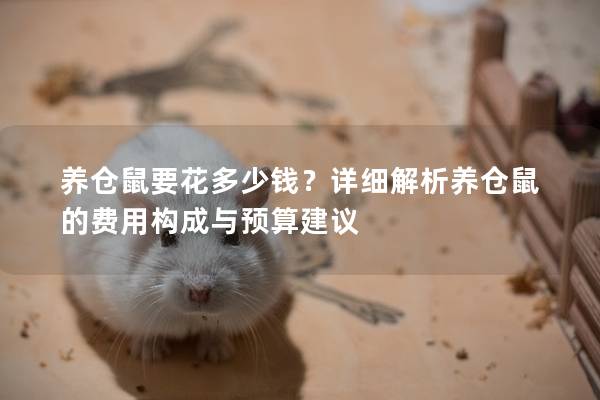 养仓鼠要花多少钱？详细解析养仓鼠的费用构成与预算建议