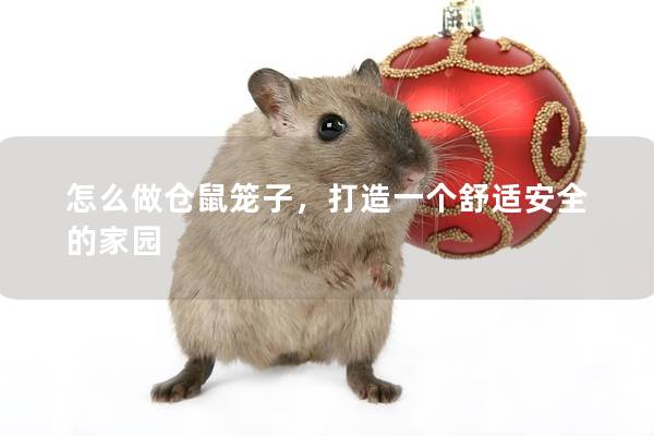 怎么做仓鼠笼子，打造一个舒适安全的家园