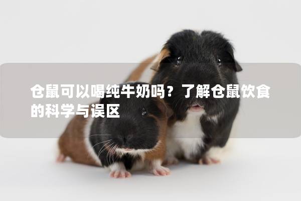 仓鼠可以喝纯牛奶吗？了解仓鼠饮食的科学与误区