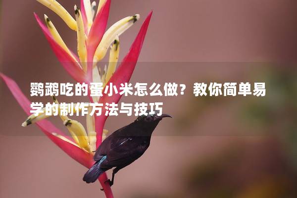 鹦鹉吃的蛋小米怎么做？教你简单易学的制作方法与技巧