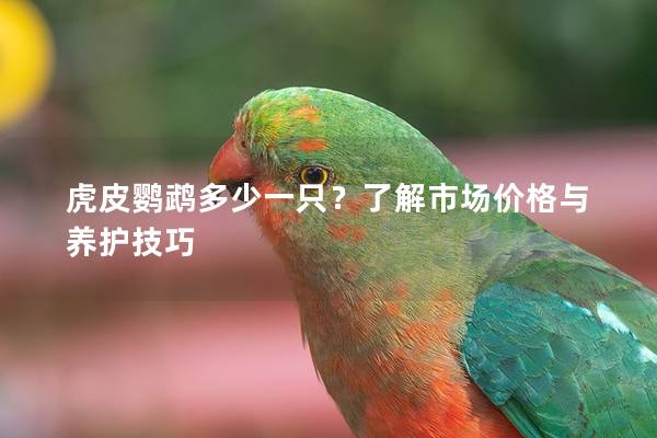 虎皮鹦鹉多少一只？了解市场价格与养护技巧