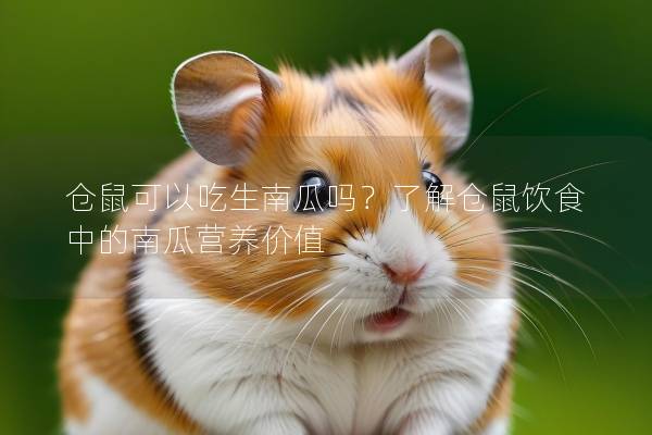 仓鼠可以吃生南瓜吗？了解仓鼠饮食中的南瓜营养价值