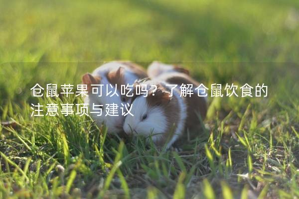 仓鼠苹果可以吃吗？了解仓鼠饮食的注意事项与建议