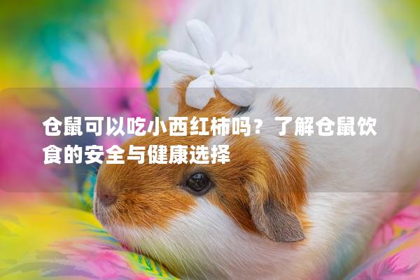 仓鼠可以吃小西红柿吗？了解仓鼠饮食的安全与健康选择
