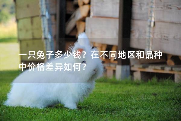 一只兔子多少钱？在不同地区和品种中价格差异如何？
