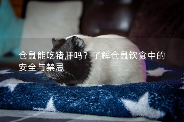 仓鼠能吃猪肝吗？了解仓鼠饮食中的安全与禁忌