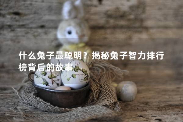 什么兔子最聪明？揭秘兔子智力排行榜背后的故事