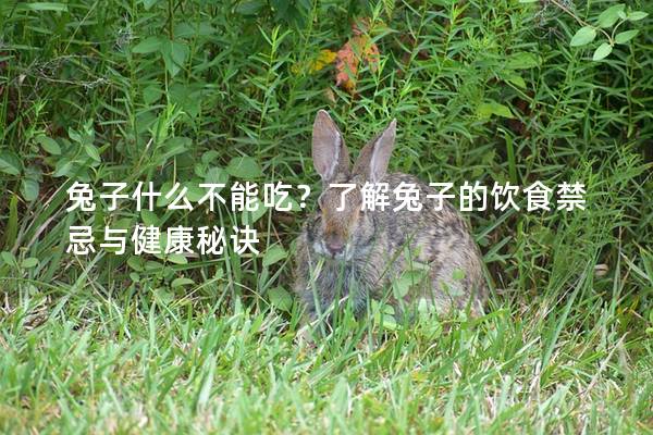 兔子什么不能吃？了解兔子的饮食禁忌与健康秘诀