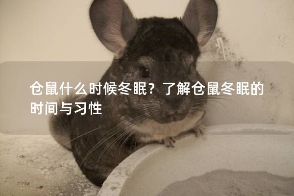 仓鼠什么时候冬眠？了解仓鼠冬眠的时间与习性