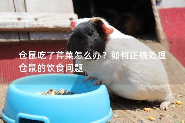 仓鼠吃了芹菜怎么办？如何正确处理仓鼠的饮食问题