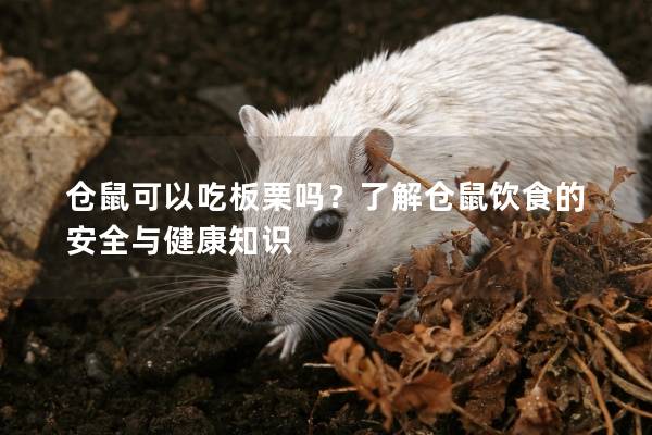 仓鼠可以吃板栗吗？了解仓鼠饮食的安全与健康知识