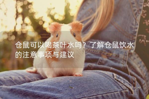仓鼠可以喝茶叶水吗？了解仓鼠饮水的注意事项与建议
