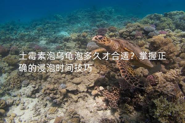 土霉素泡乌龟泡多久才合适？掌握正确的浸泡时间技巧