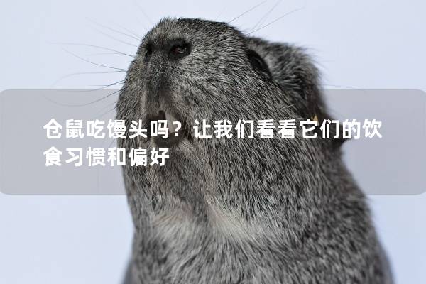 仓鼠吃馒头吗？让我们看看它们的饮食习惯和偏好