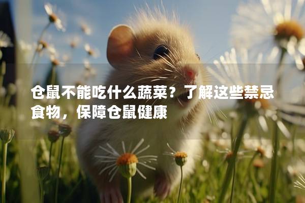 仓鼠不能吃什么蔬菜？了解这些禁忌食物，保障仓鼠健康